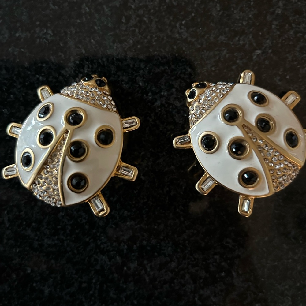 Elegant vintage Ladybug  shoe clips
in Black and White